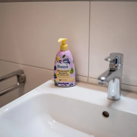 Grosszuegige Monteurwohnungen Marie Naehe Basf