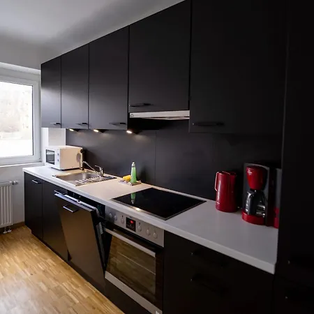 Apartment Grosszuegige Monteurwohnungen Marie Naehe Basf Ludwigshafen am Rhein