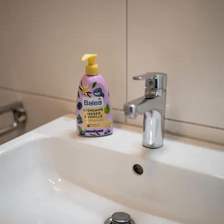 Grosszuegige Monteurwohnungen Marie Naehe Basf *