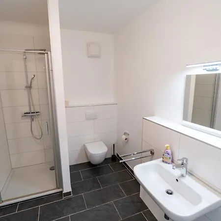 Apartment Grosszuegige Monteurwohnungen Marie Naehe Basf Ludwigshafen am Rhein