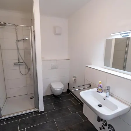 Grosszuegige Monteurwohnungen Marie Naehe Basf Apartment Ludwigshafen am Rhein
